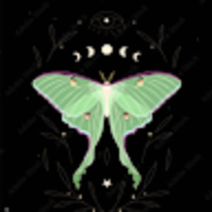 Meet your Posher, Kai